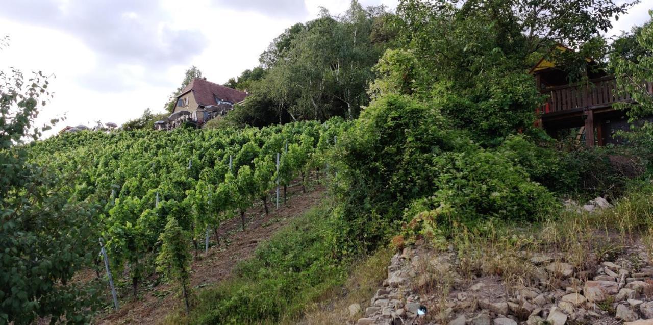 Oberschwarzach Ferienwohnung Am Hollergraben מראה חיצוני תמונה